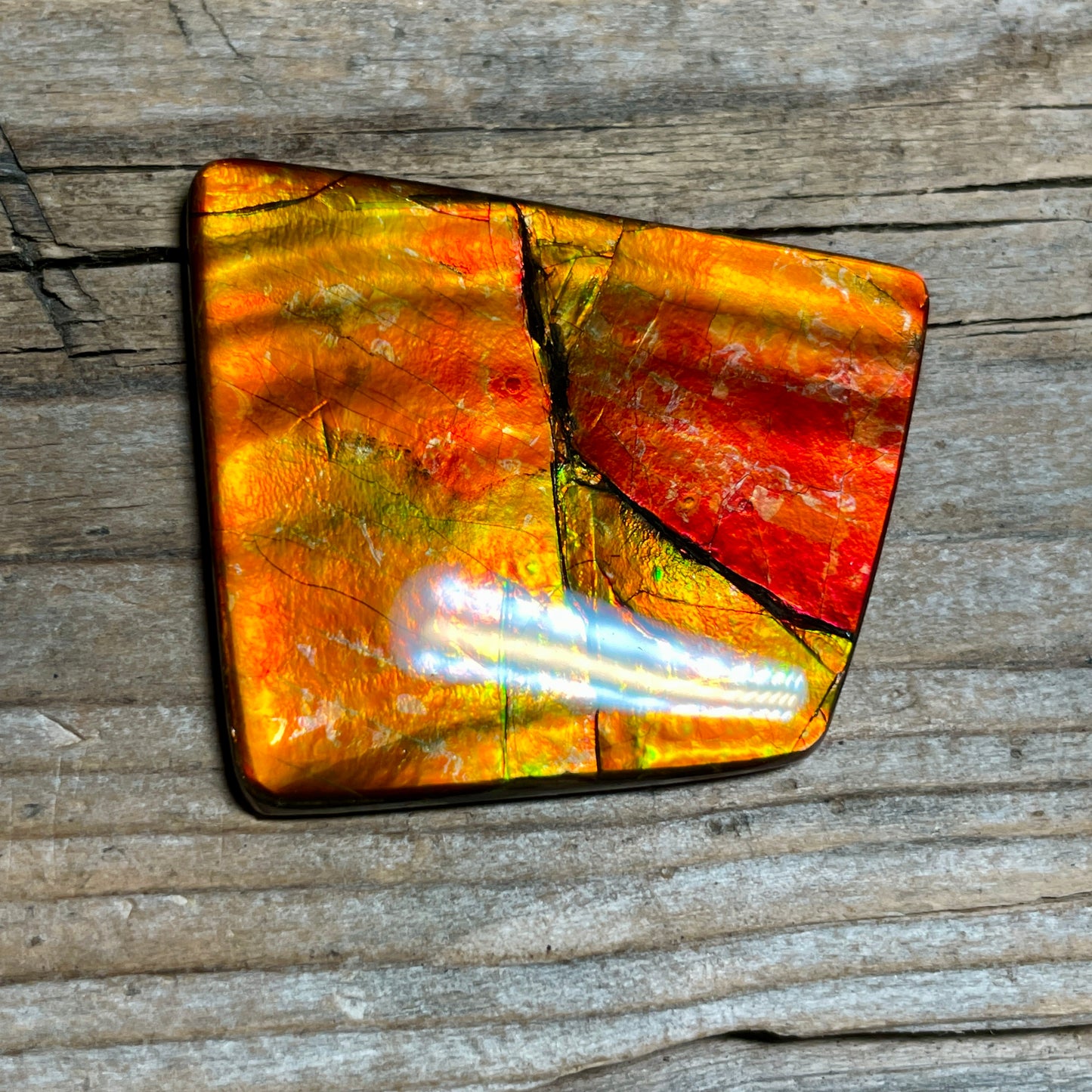 Large Gold Red Ammolite Cabochon Freeform Gemstone TSA1019 A