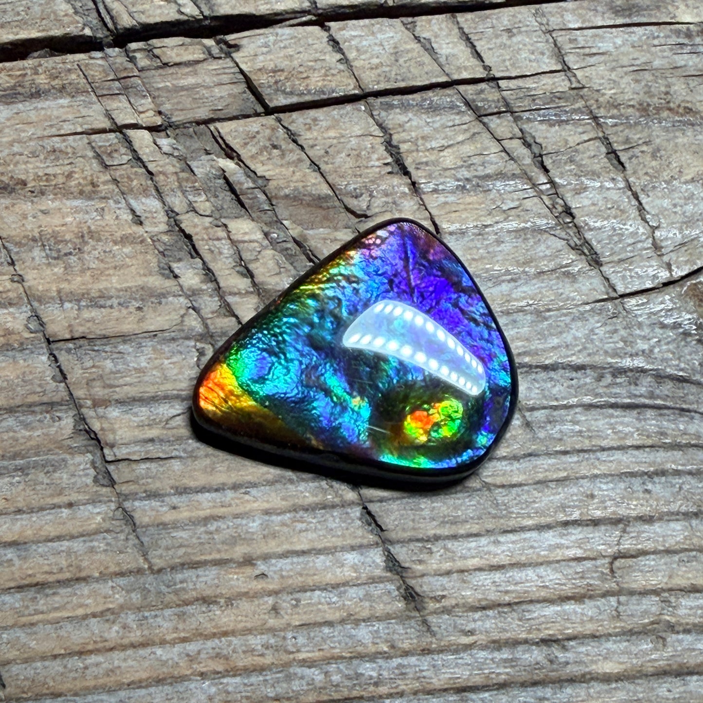 Rare multicoloured Ammolite Freeform Cabochon Coated Natural