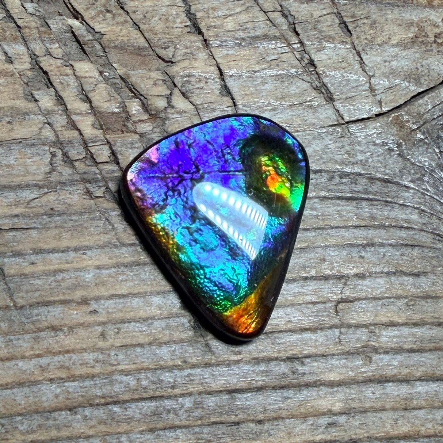 Rare multicoloured Ammolite Freeform Cabochon Coated Natural
