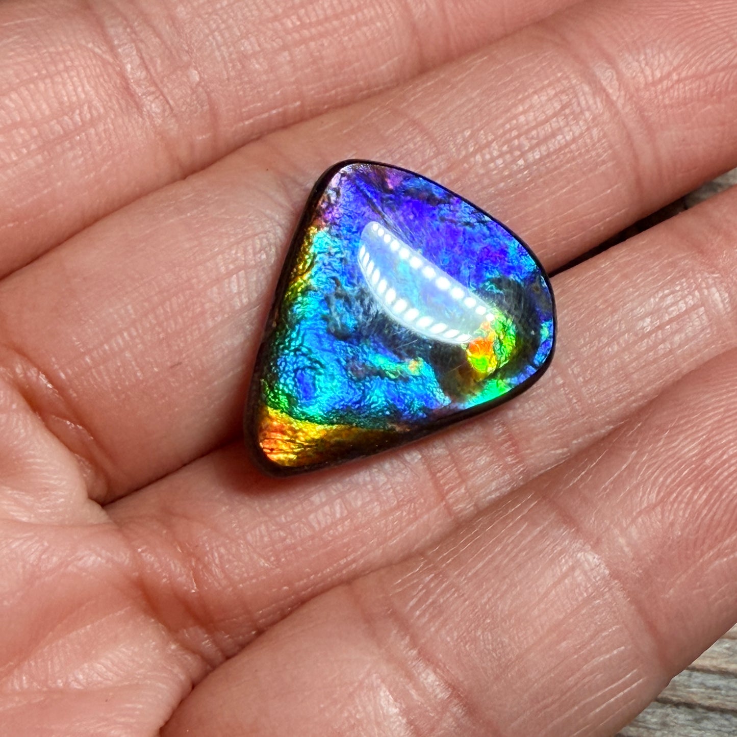 Rare multicoloured Ammolite Freeform Cabochon Coated Natural