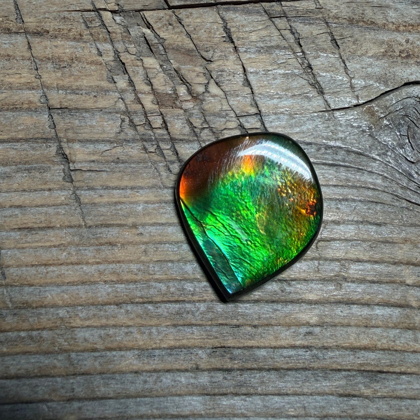 Green Red Ammolite Cabochon, Loose Gemstone, Genuine Canadian Ammonite