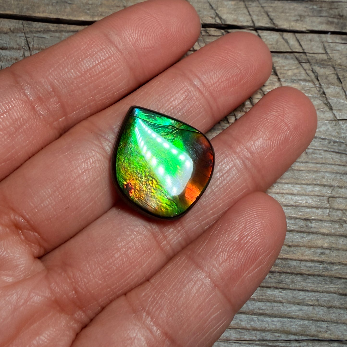 Green Red Ammolite Cabochon, Loose Gemstone, Genuine Canadian Ammonite