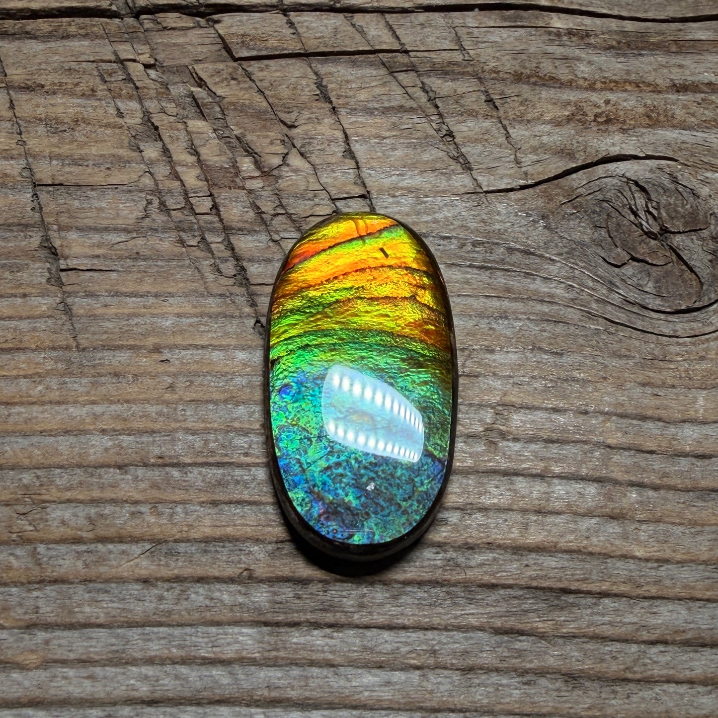 multicoloured Oval Ammolite Freeform Cabochon Coated Natural