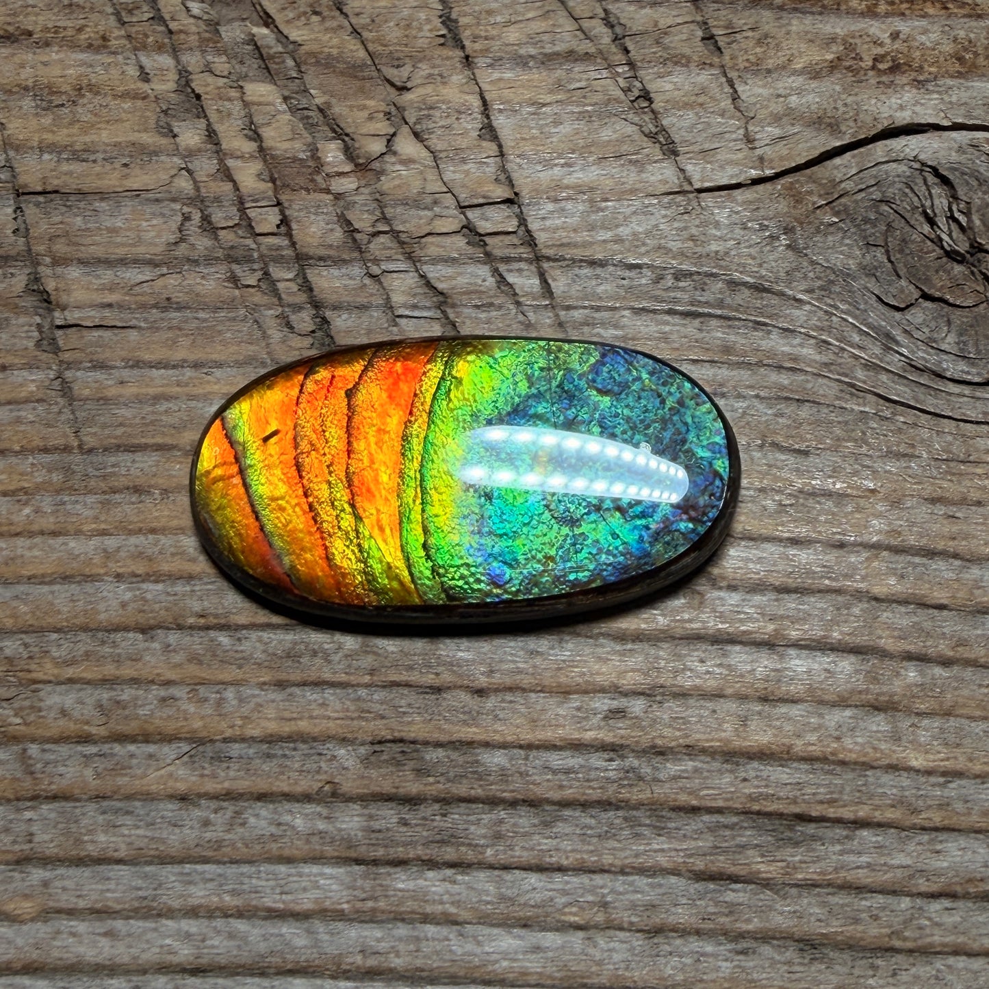 multicoloured Oval Ammolite Freeform Cabochon Coated Natural