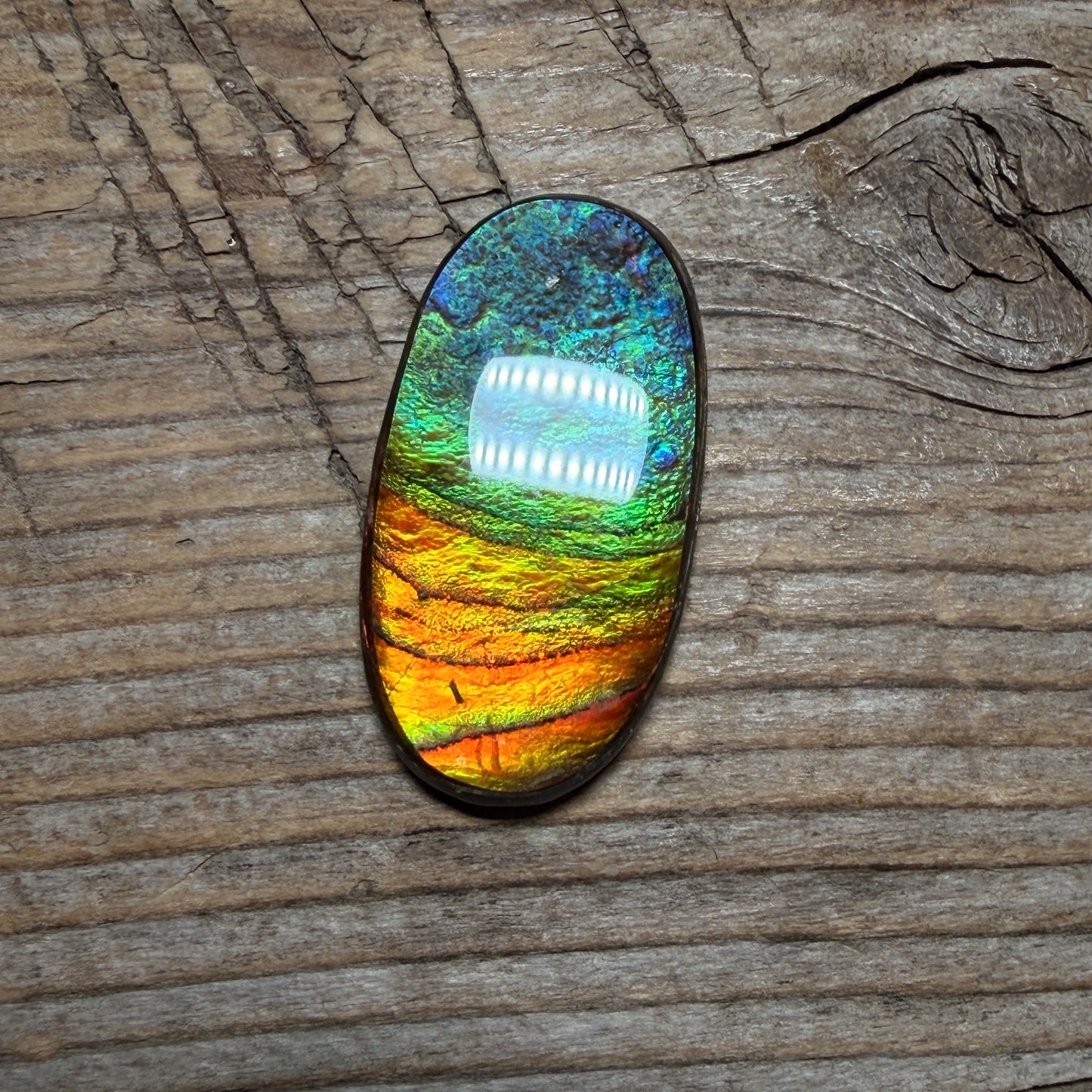 multicoloured Oval Ammolite Freeform Cabochon Coated Natural