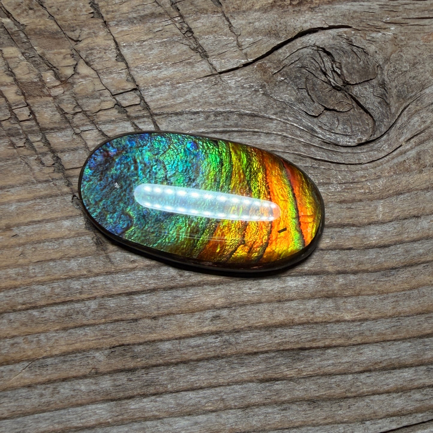multicoloured Oval Ammolite Freeform Cabochon Coated Natural