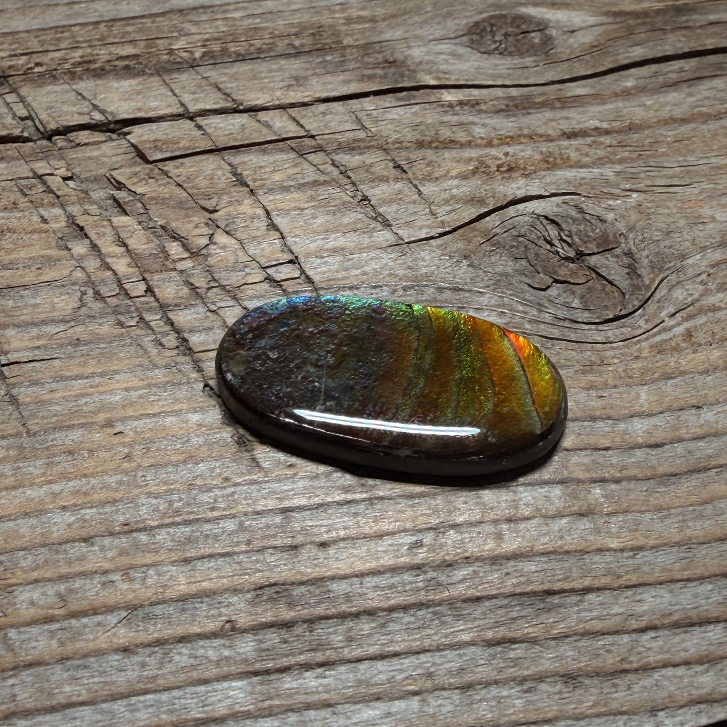 multicoloured Oval Ammolite Freeform Cabochon Coated Natural