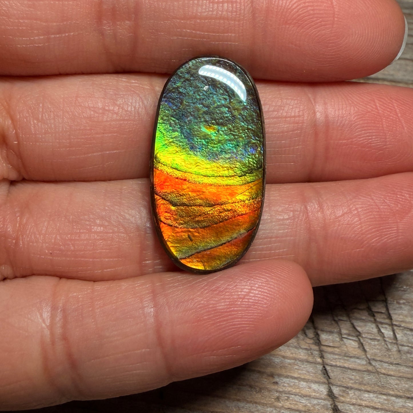 multicoloured Oval Ammolite Freeform Cabochon Coated Natural