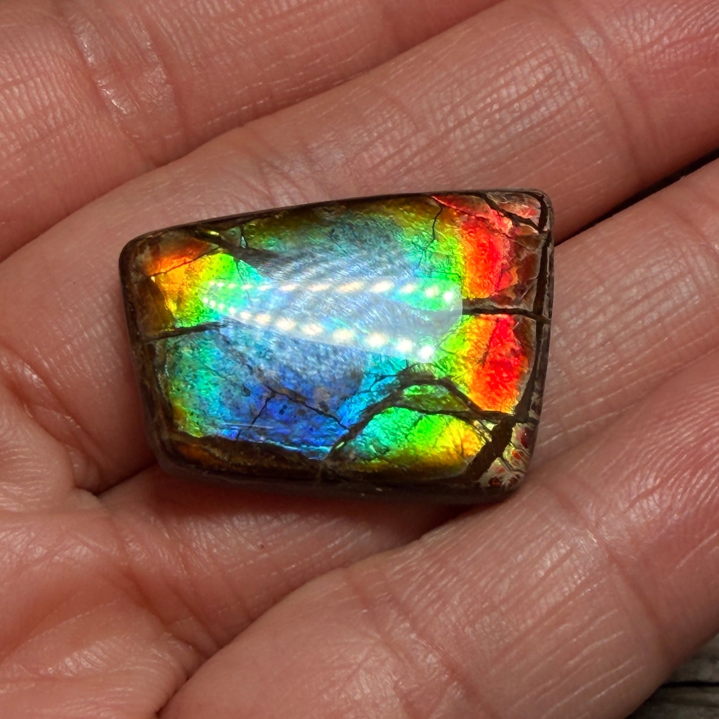 Rainbow Ammolite Freeform Cabochon Coated Natural
