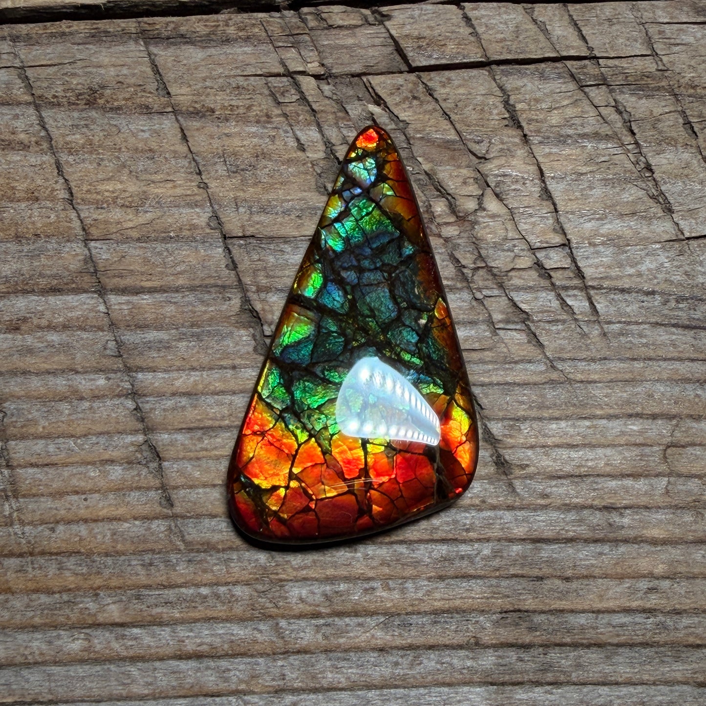 Multicoloured Ammolite Gemstone, Freeform Cabochon, Dragon Skin Pattern