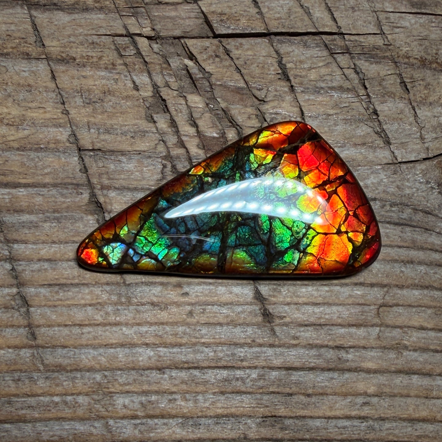 Multicoloured Ammolite Gemstone, Freeform Cabochon, Dragon Skin Pattern