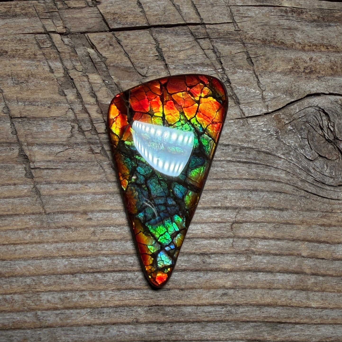 Multicoloured Ammolite Gemstone, Freeform Cabochon, Dragon Skin Pattern