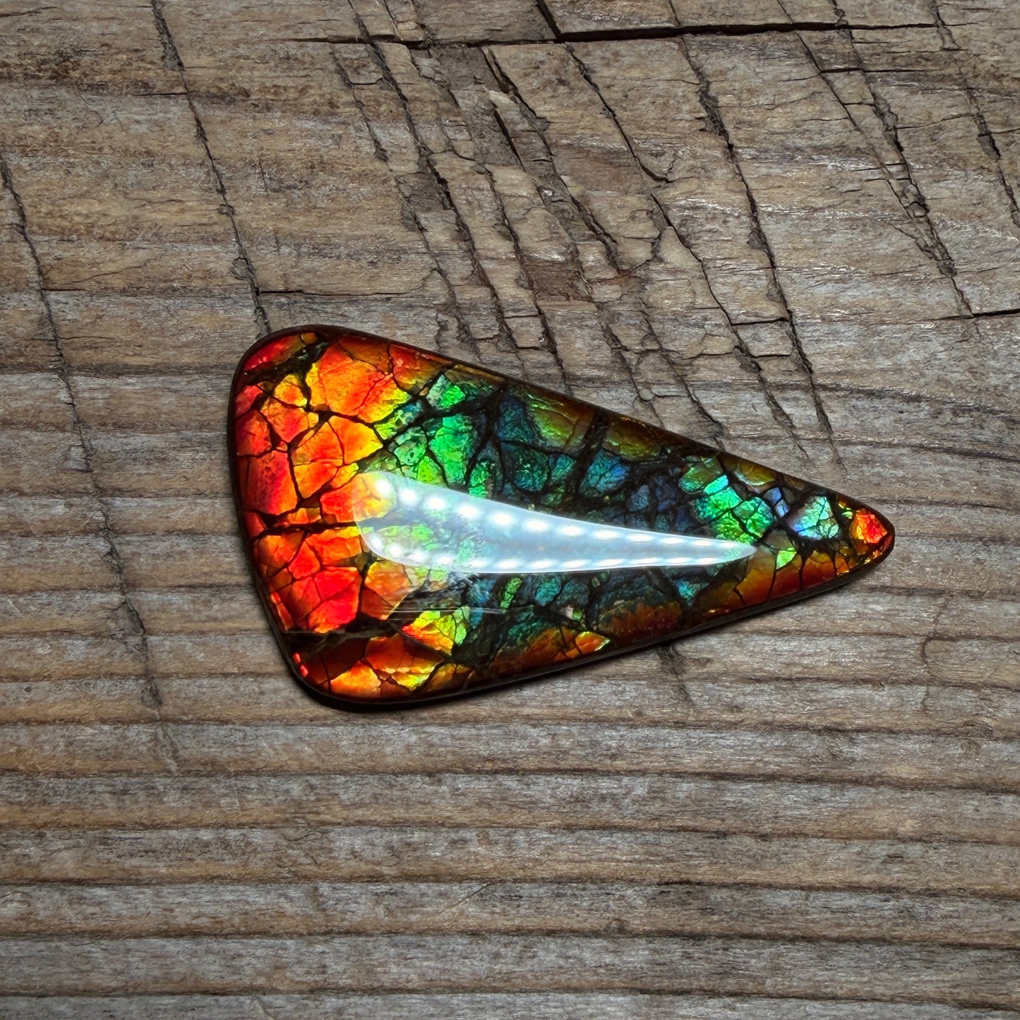 Multicoloured Ammolite Gemstone, Freeform Cabochon, Dragon Skin Pattern