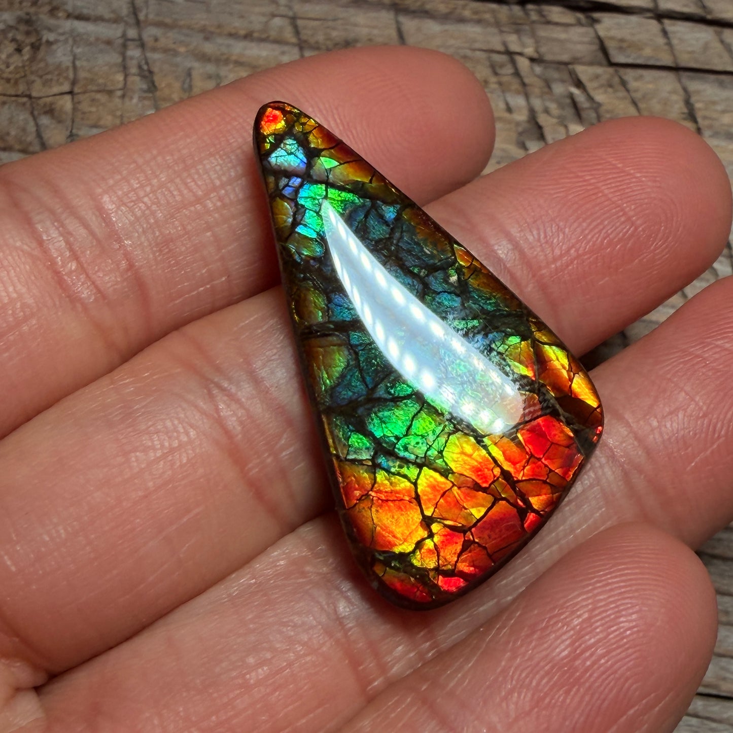 Multicoloured Ammolite Gemstone, Freeform Cabochon, Dragon Skin Pattern