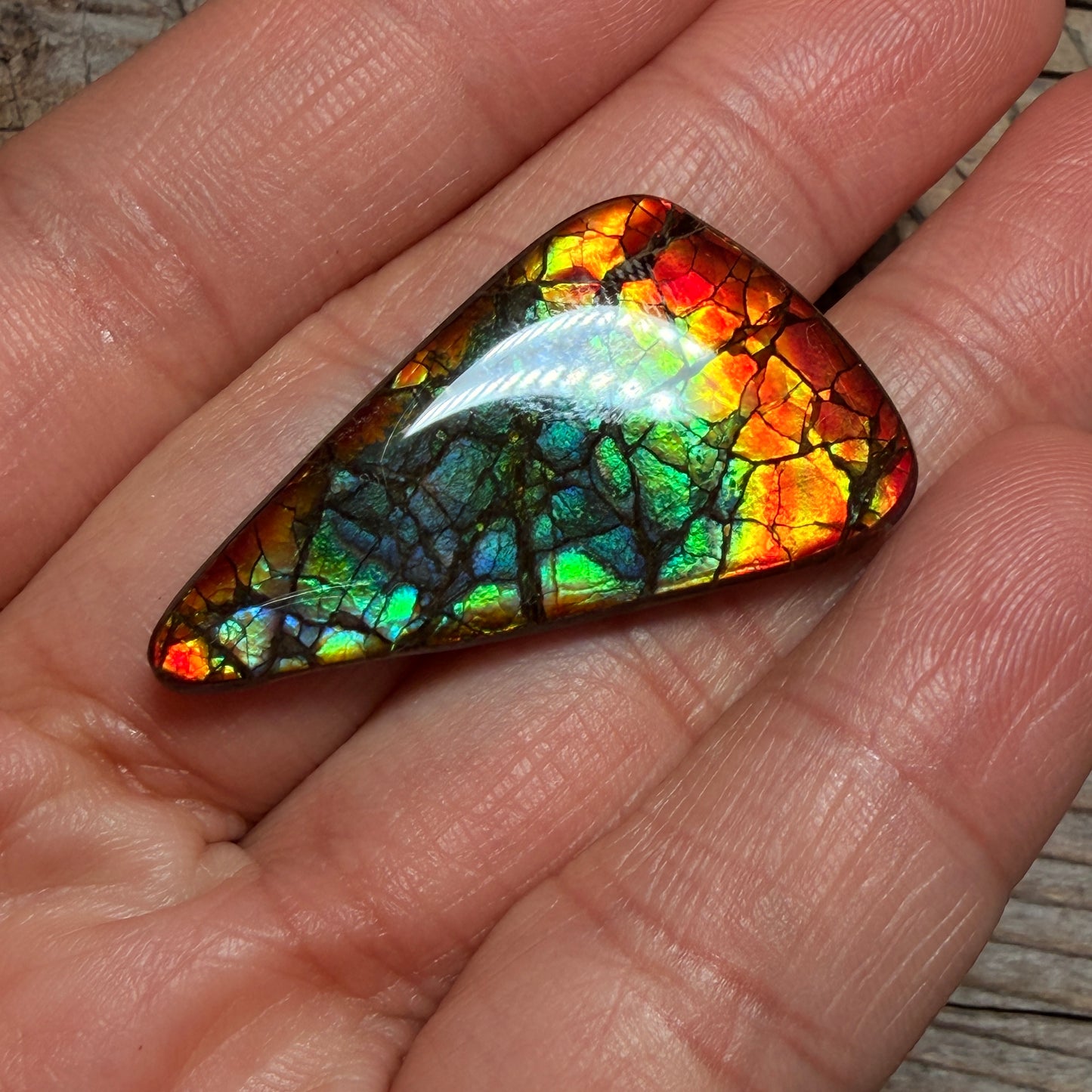 Multicoloured Ammolite Gemstone, Freeform Cabochon, Dragon Skin Pattern