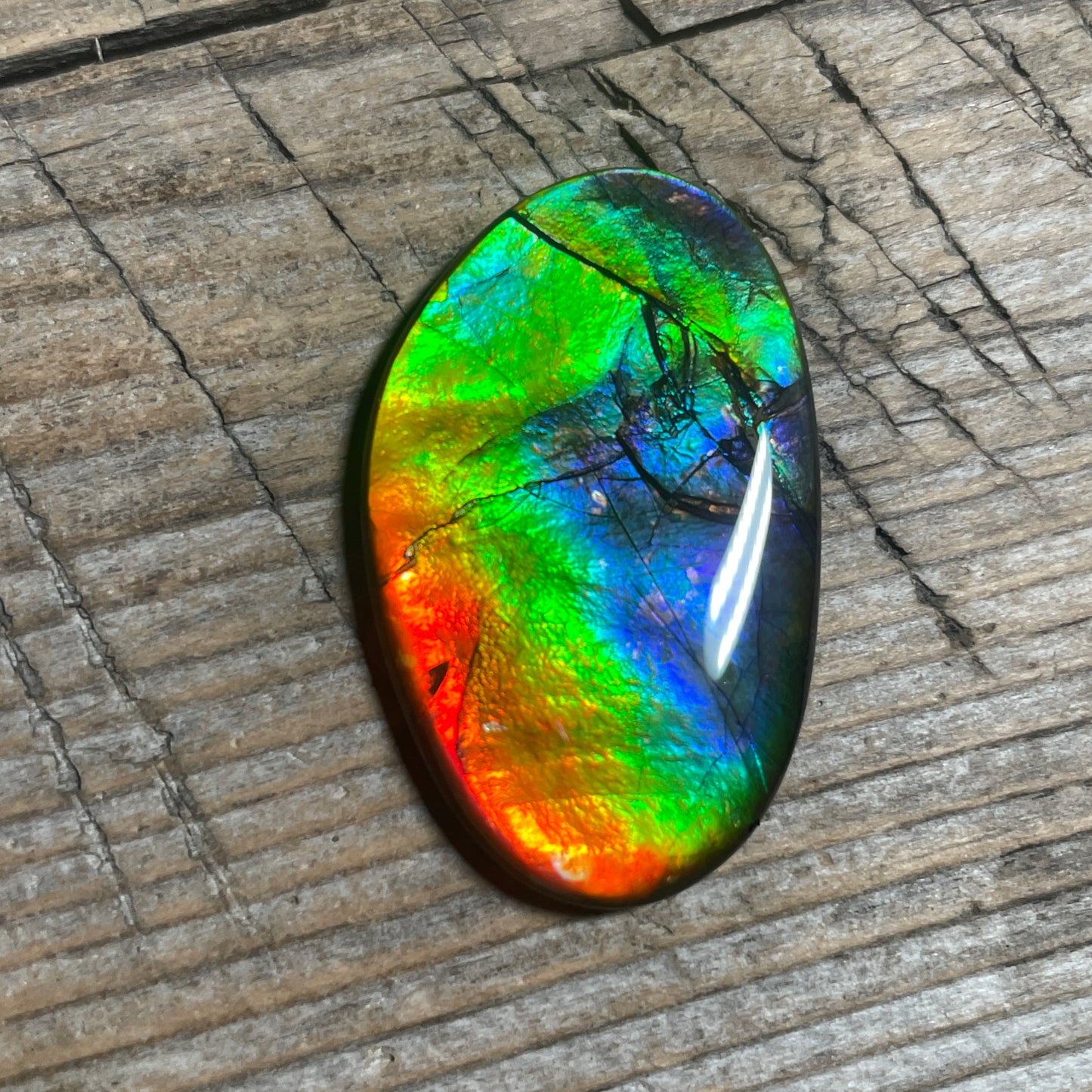 Rainbow Ammolite Gemstone, Freeform Cabochon, Canadian Ammonite Fossil Jewelry