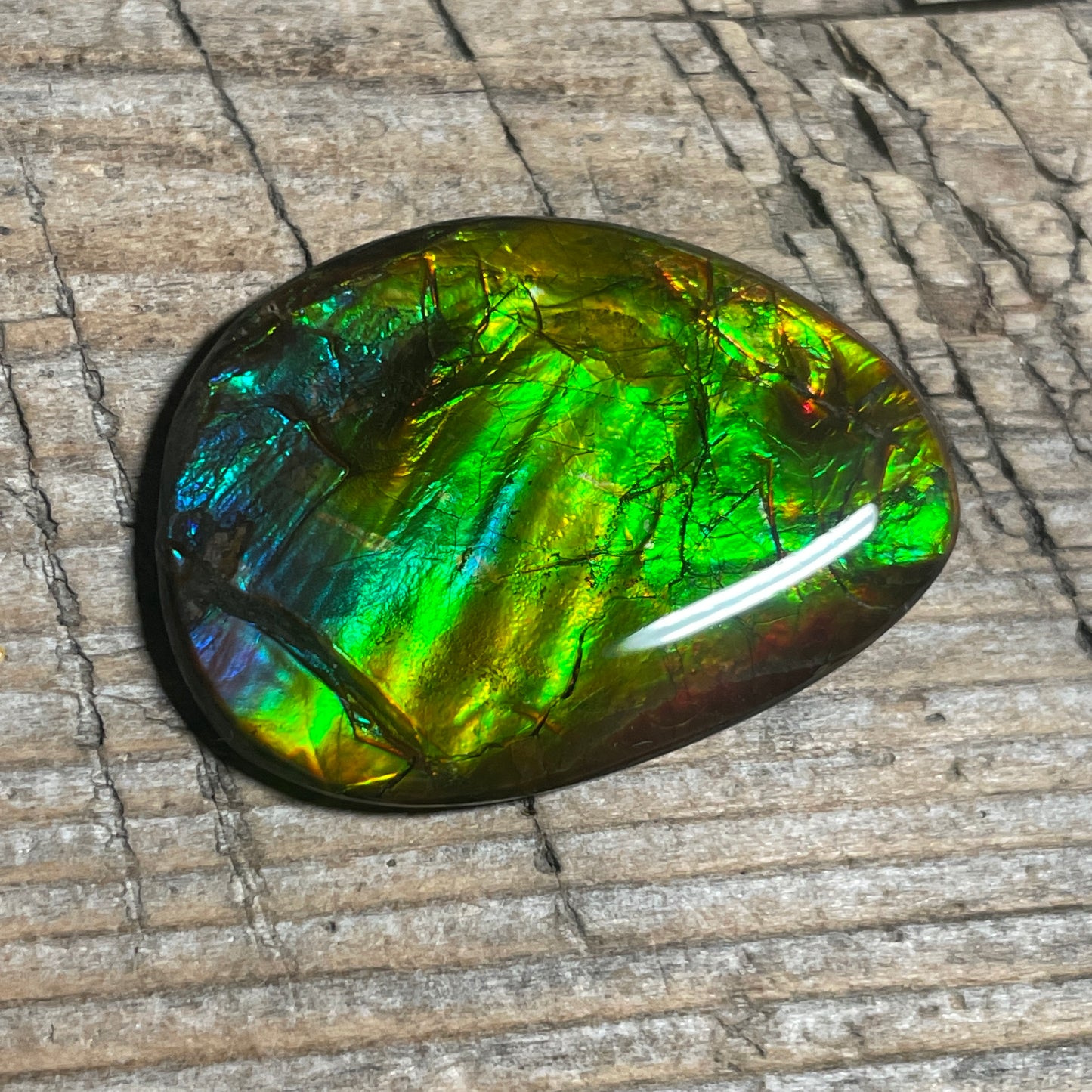 Multicoloured Ammolite Cabochon with 2 horns, dragon balls, Feng Shui