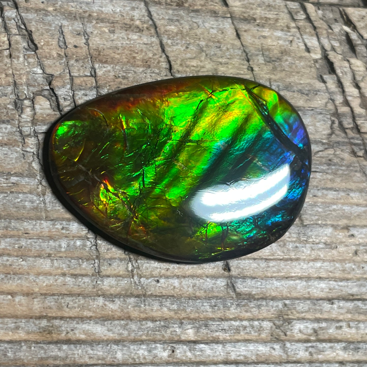 Multicoloured Ammolite Cabochon with 2 horns, dragon balls, Feng Shui