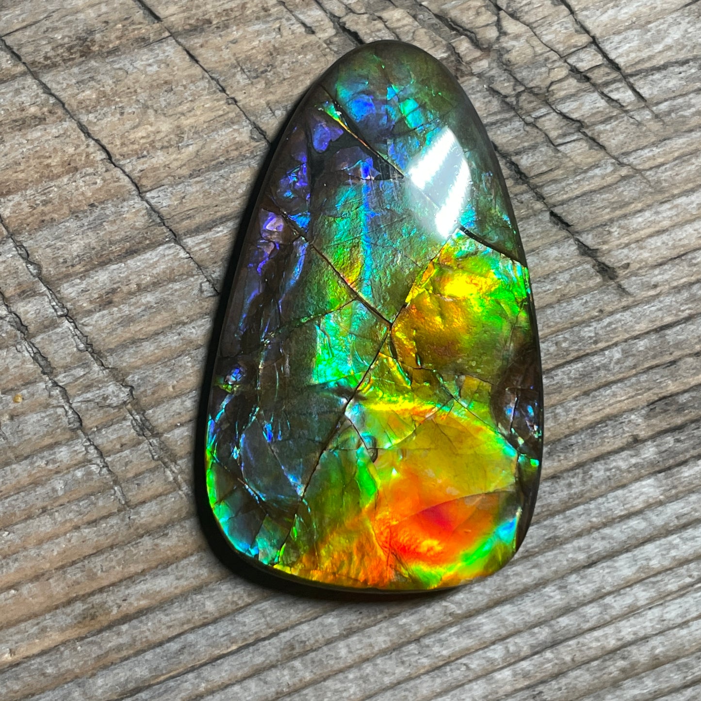 Multicoloured Ammolite Cabochon, Genuine Canadian Ammonite Fossil Jewelry