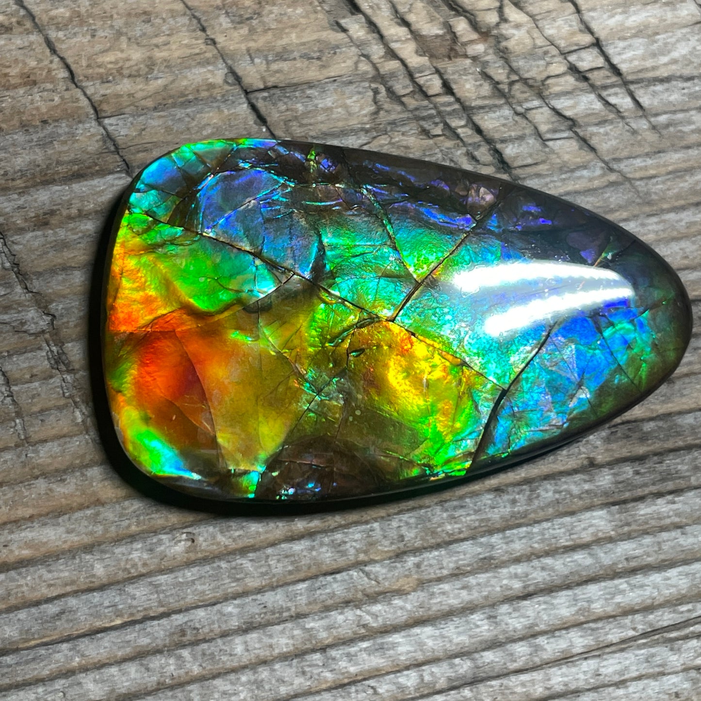 Multicoloured Ammolite Cabochon, Genuine Canadian Ammonite Fossil Jewelry