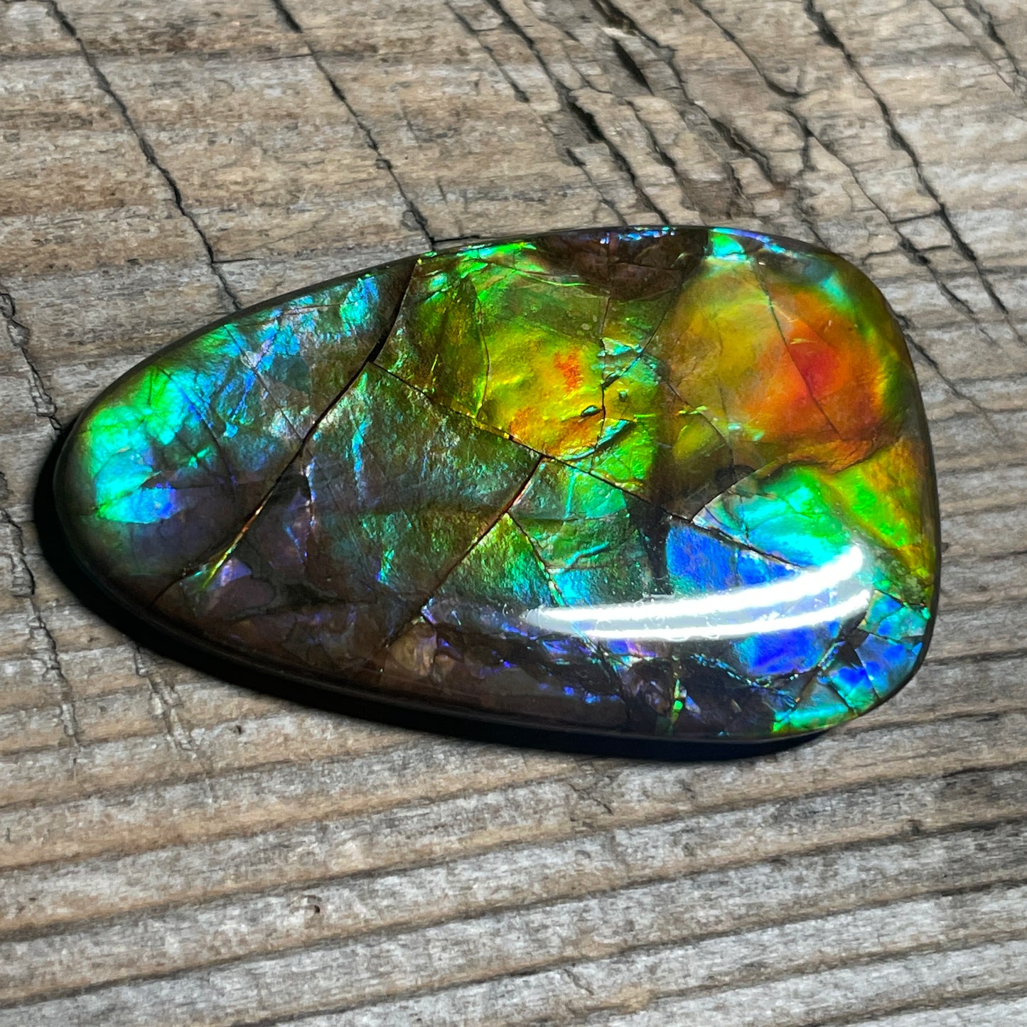 Multicoloured Ammolite Cabochon, Genuine Canadian Ammonite Fossil Jewelry