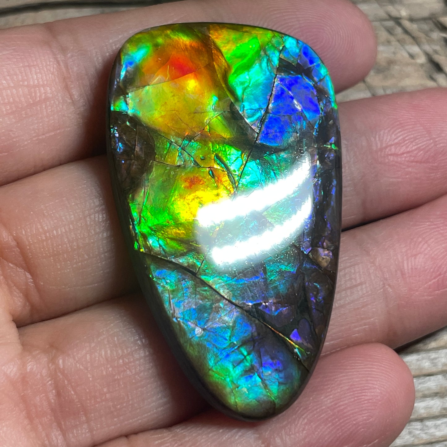 Multicoloured Ammolite Cabochon, Genuine Canadian Ammonite Fossil Jewelry