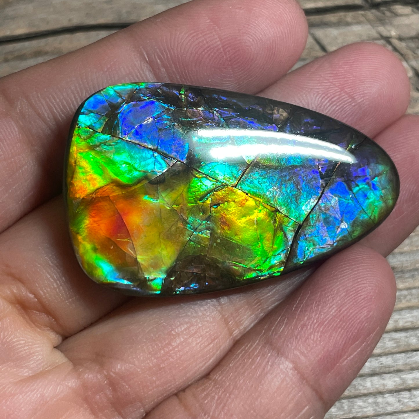 Multicoloured Ammolite Cabochon, Genuine Canadian Ammonite Fossil Jewelry