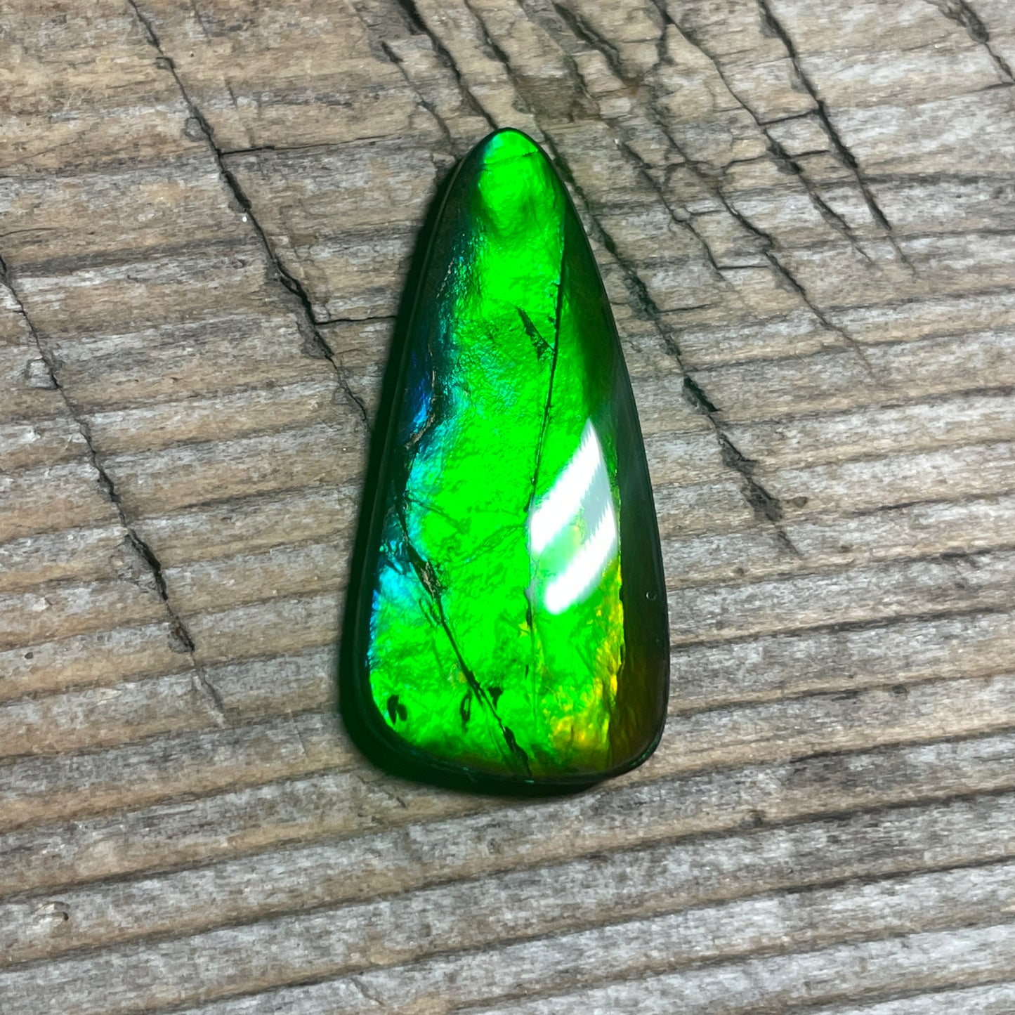 Small Green Blue Ammolite Cabochon Gemstone, Genuine Canadian Ammonite