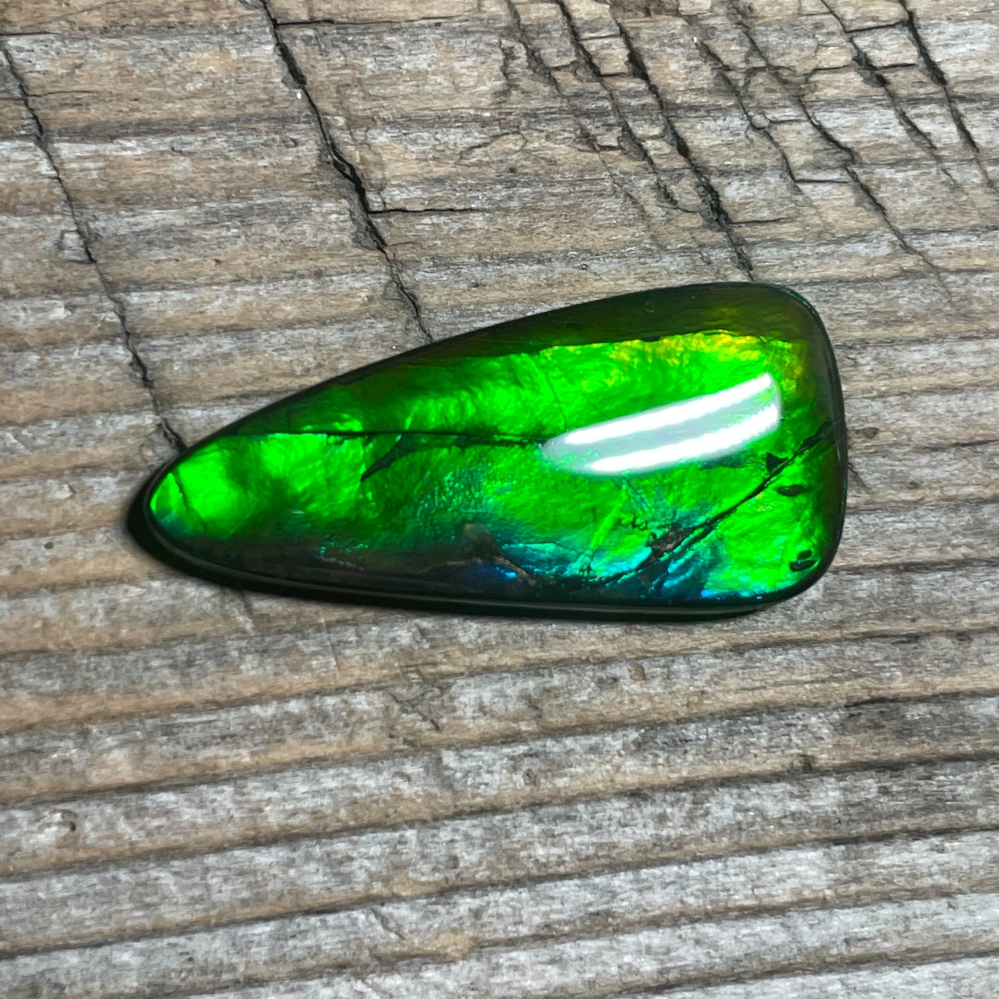 Small Green Blue Ammolite Cabochon Gemstone, Genuine Canadian Ammonite