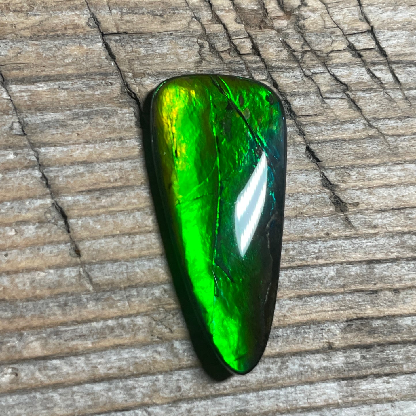 Small Green Blue Ammolite Cabochon Gemstone, Genuine Canadian Ammonite