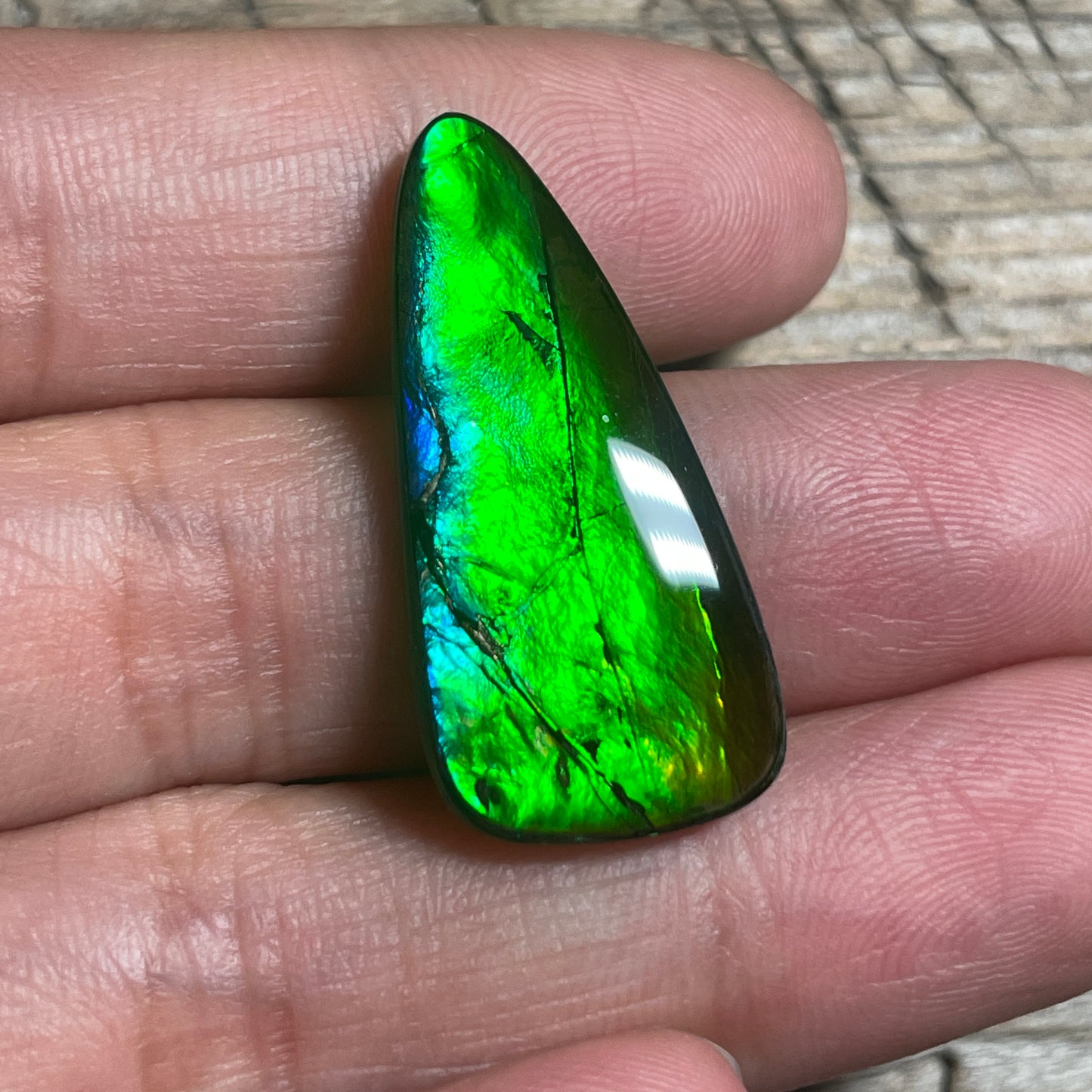 Small Green Blue Ammolite Cabochon Gemstone, Genuine Canadian Ammonite