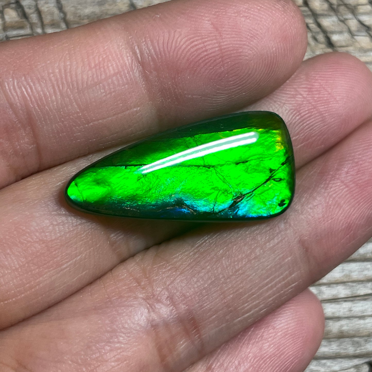 Small Green Blue Ammolite Cabochon Gemstone, Genuine Canadian Ammonite