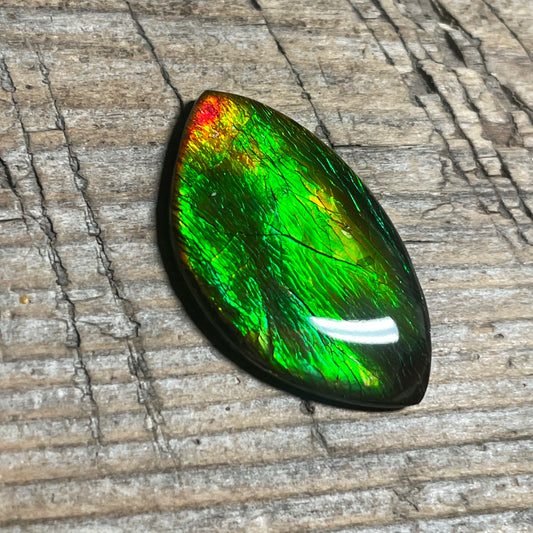 Green Gold Ammolite Cabochon, Genuine Canadian Ammonite Fossil Jewelry