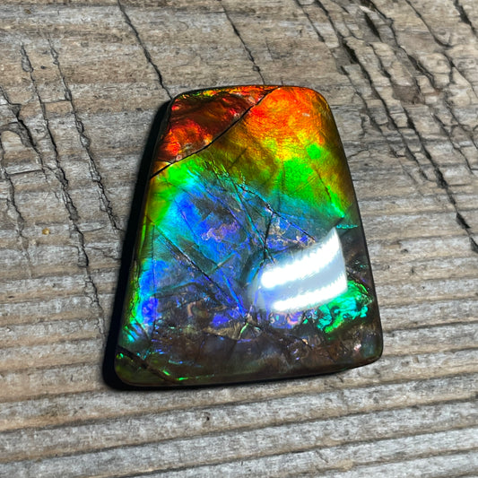 Multicoloured Rainbow Ammolite Cabochon, Genuine Alberta Ammonite Fossil Jewelry