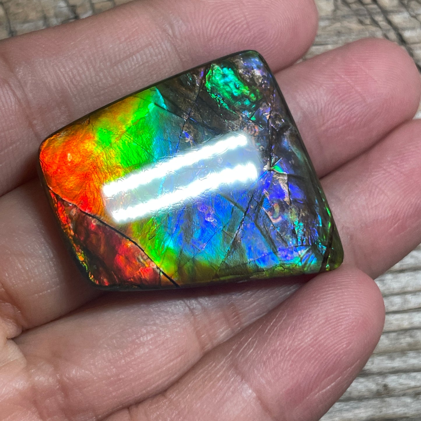 Multicoloured Rainbow Ammolite Cabochon, Genuine Alberta Ammonite Fossil Jewelry