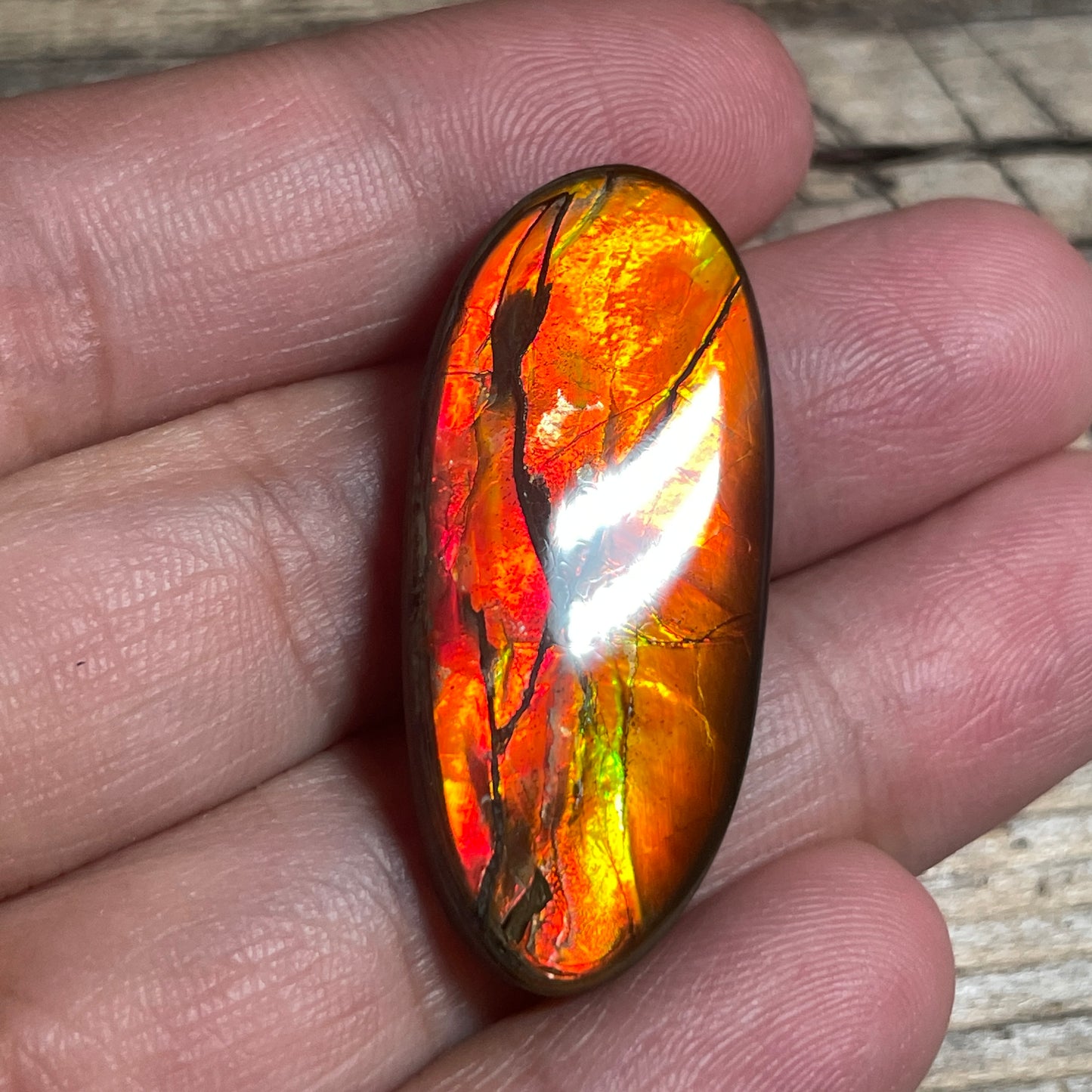 Gold Red Ammolite Cabochon, Loose Gemstone, Genuine Canadian Ammonite