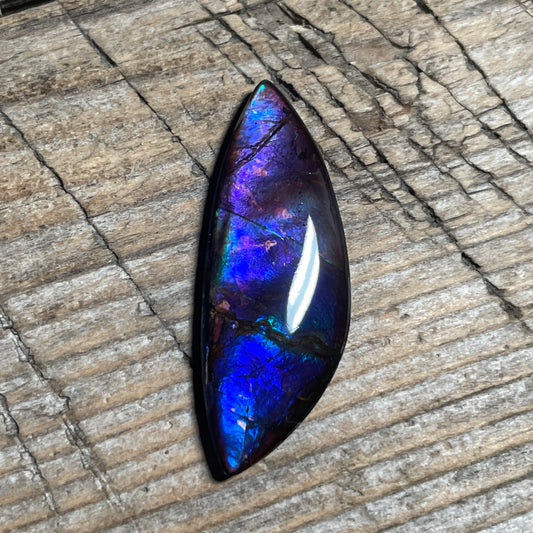 Blue  Purple Ammolite Gemstone Cabochon Freeform Canadian Ammonite Fossil