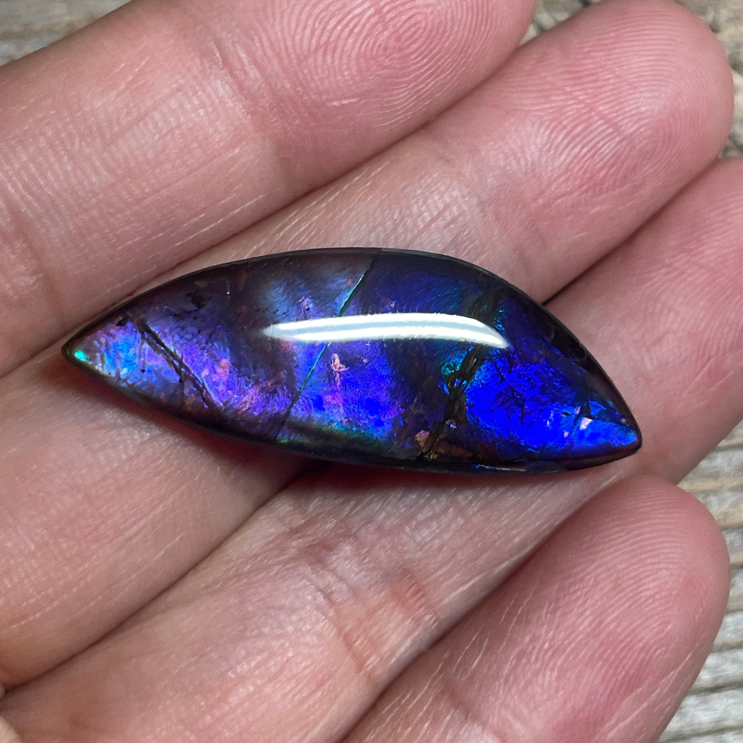 Blue  Purple Ammolite Gemstone Cabochon Freeform Canadian Ammonite Fossil