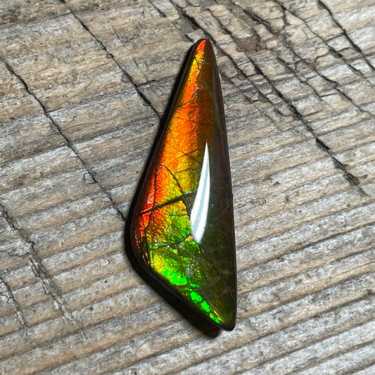 Small Ammolite Cabochon Gemstone, Genuine Canadian Ammonite