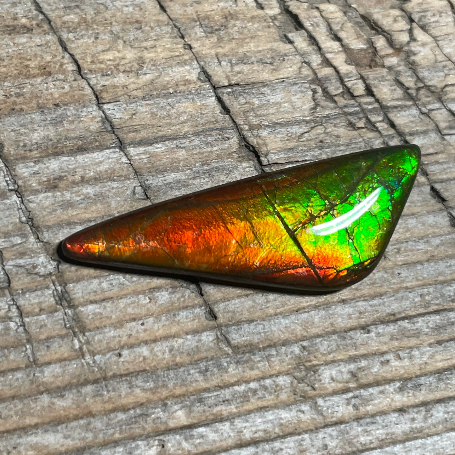 Small Ammolite Cabochon Gemstone, Genuine Canadian Ammonite