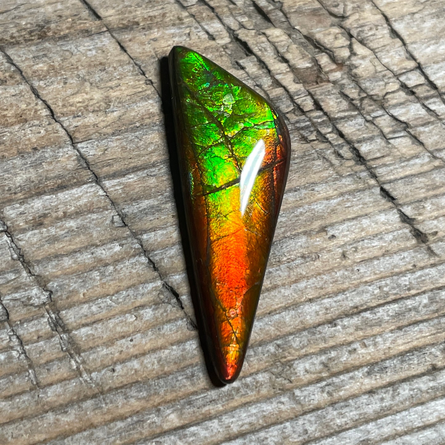 Small Ammolite Cabochon Gemstone, Genuine Canadian Ammonite