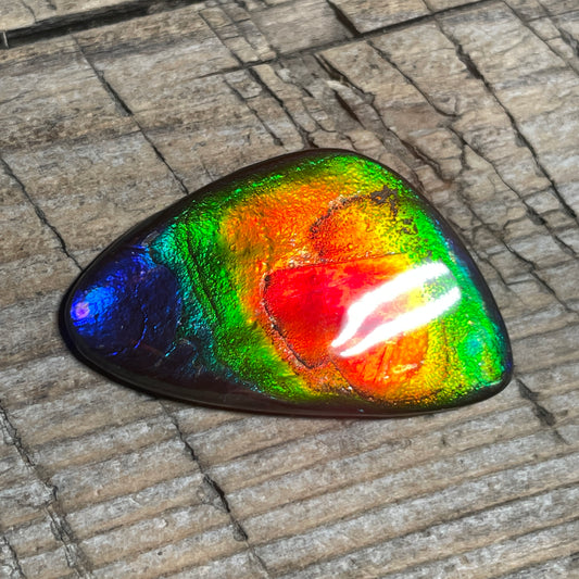 Stunning Rainbow Ammolite Cabochon, Genuine Alberta Ammonite Fossil Jewelry