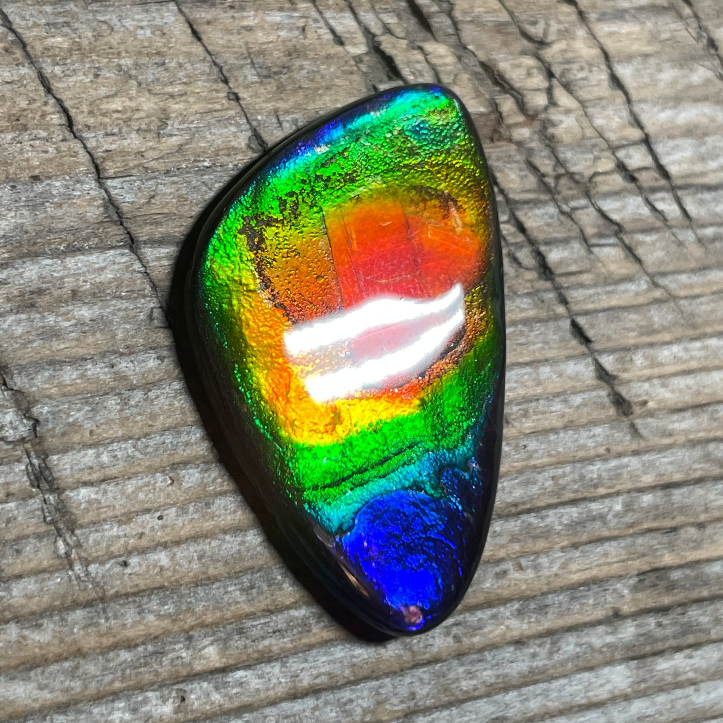 Stunning Rainbow Ammolite Cabochon, Genuine Alberta Ammonite Fossil Jewelry