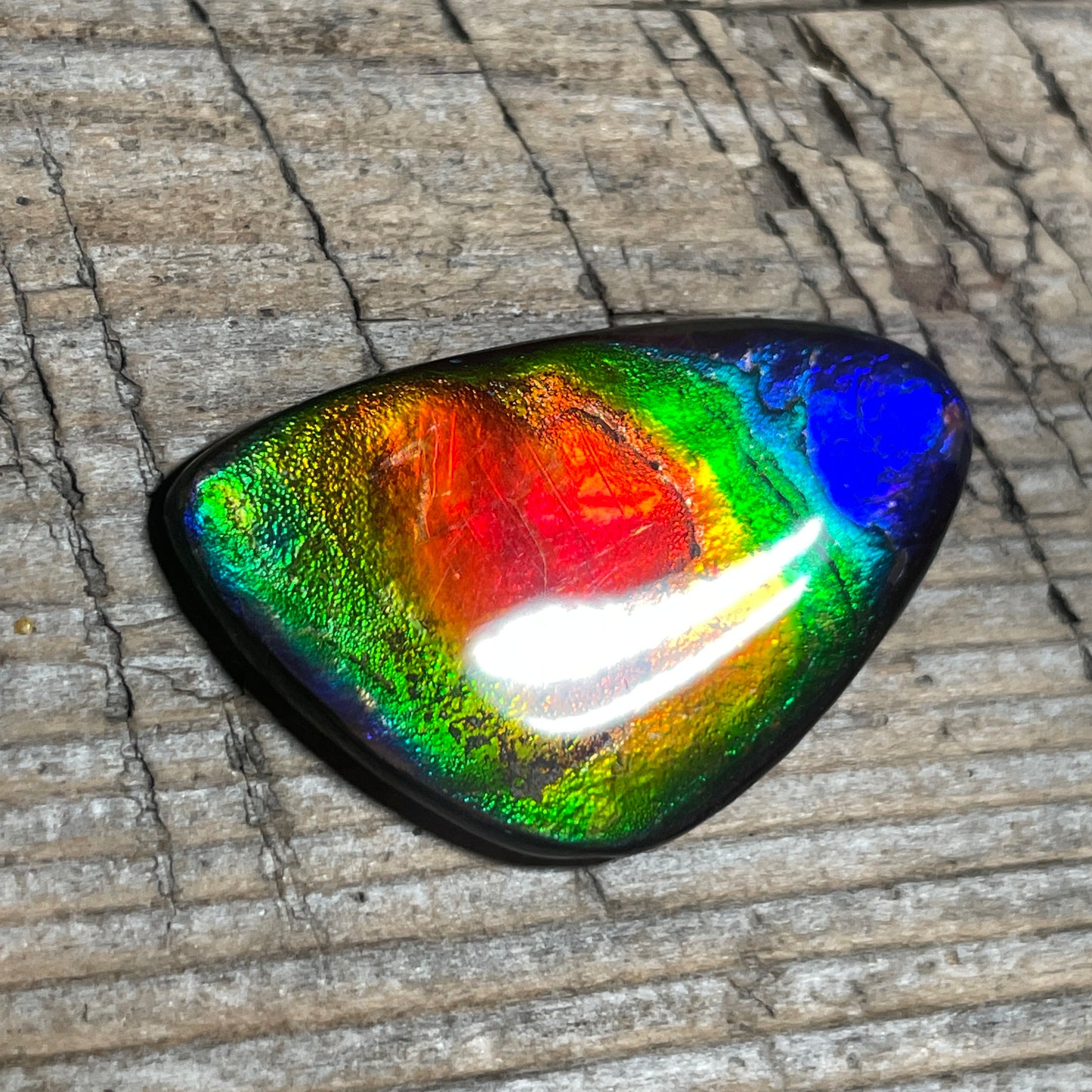 Stunning Rainbow Ammolite Cabochon, Genuine Alberta Ammonite Fossil Jewelry