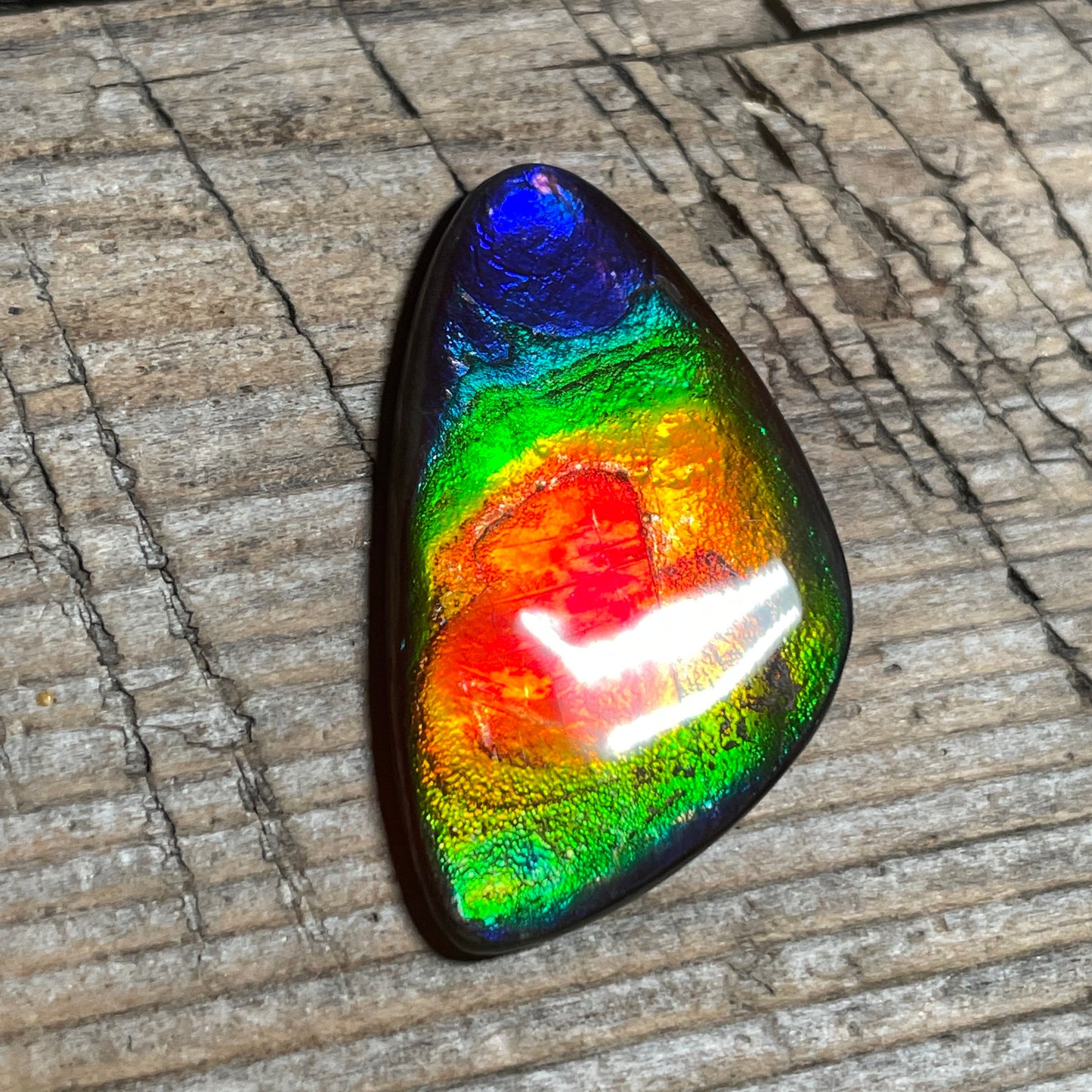 Stunning Rainbow Ammolite Cabochon, Genuine Alberta Ammonite Fossil Jewelry