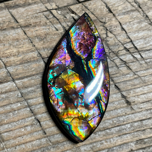 Collector's Special! Rare Pink Ammolite Freeform Cabochon, Genuine Alberta Ammonite Gemstone