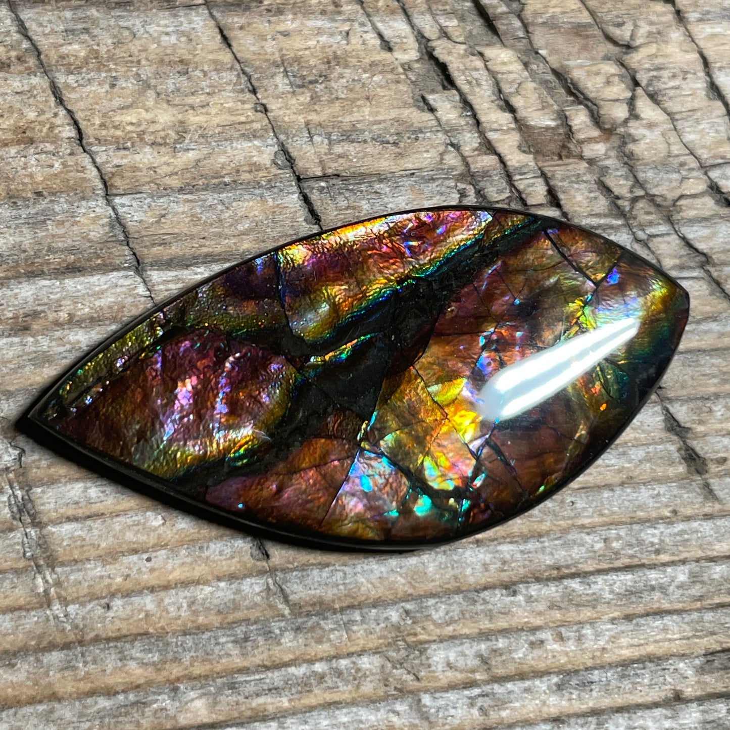 Collector's Special! Rare Pink Ammolite Freeform Cabochon, Genuine Alberta Ammonite Gemstone