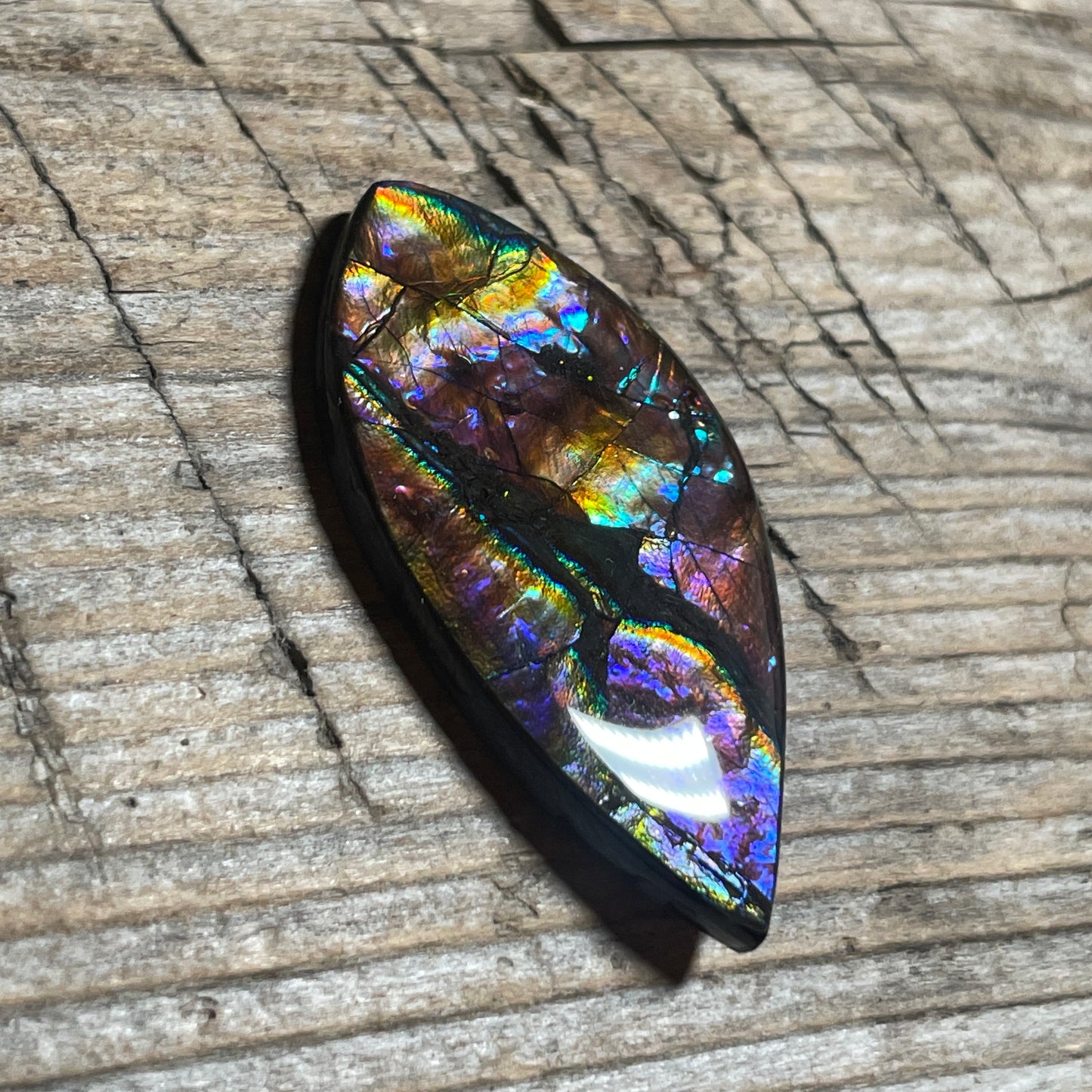 Collector's Special! Rare Pink Ammolite Freeform Cabochon, Genuine Alberta Ammonite Gemstone