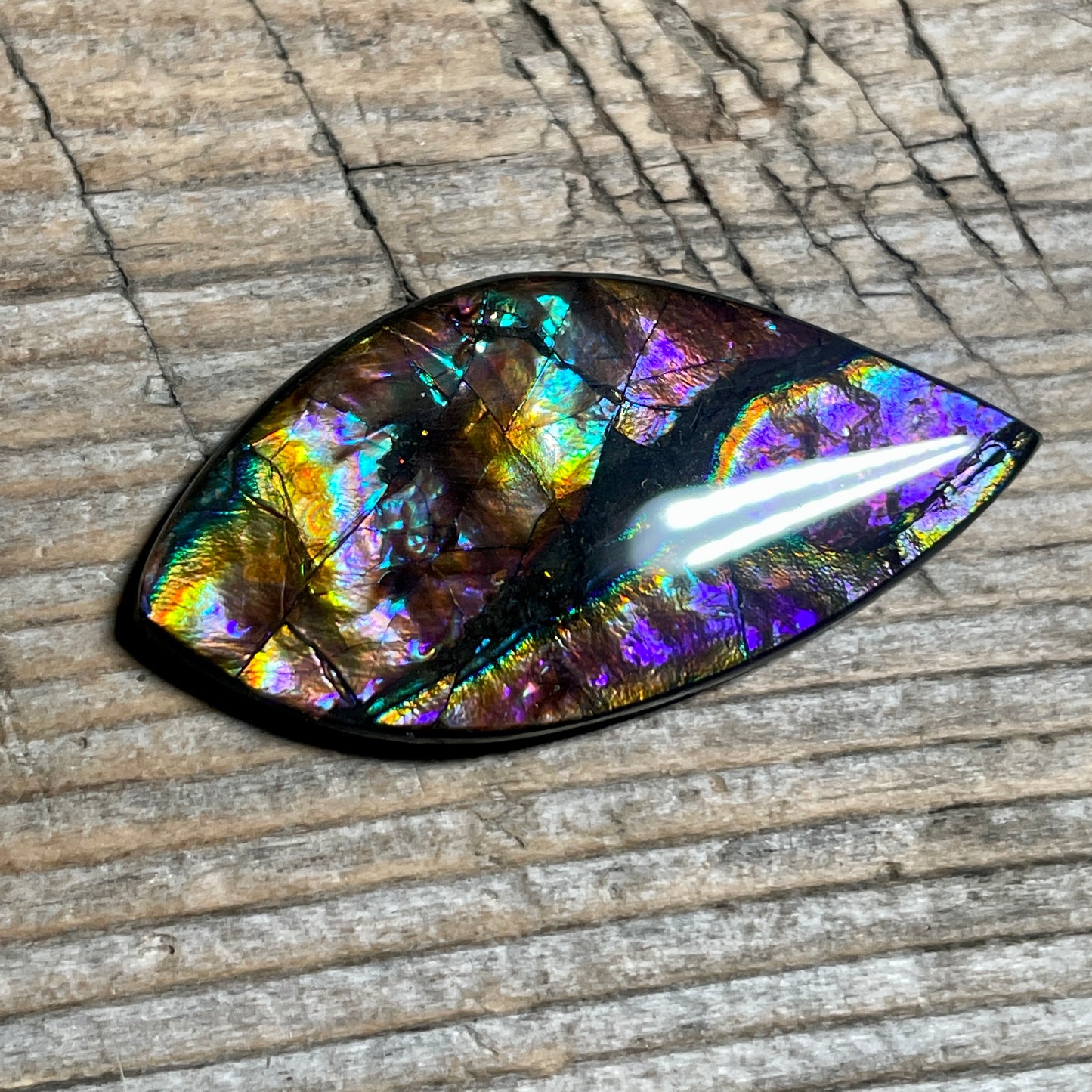 Collector's Special! Rare Pink Ammolite Freeform Cabochon, Genuine Alberta Ammonite Gemstone