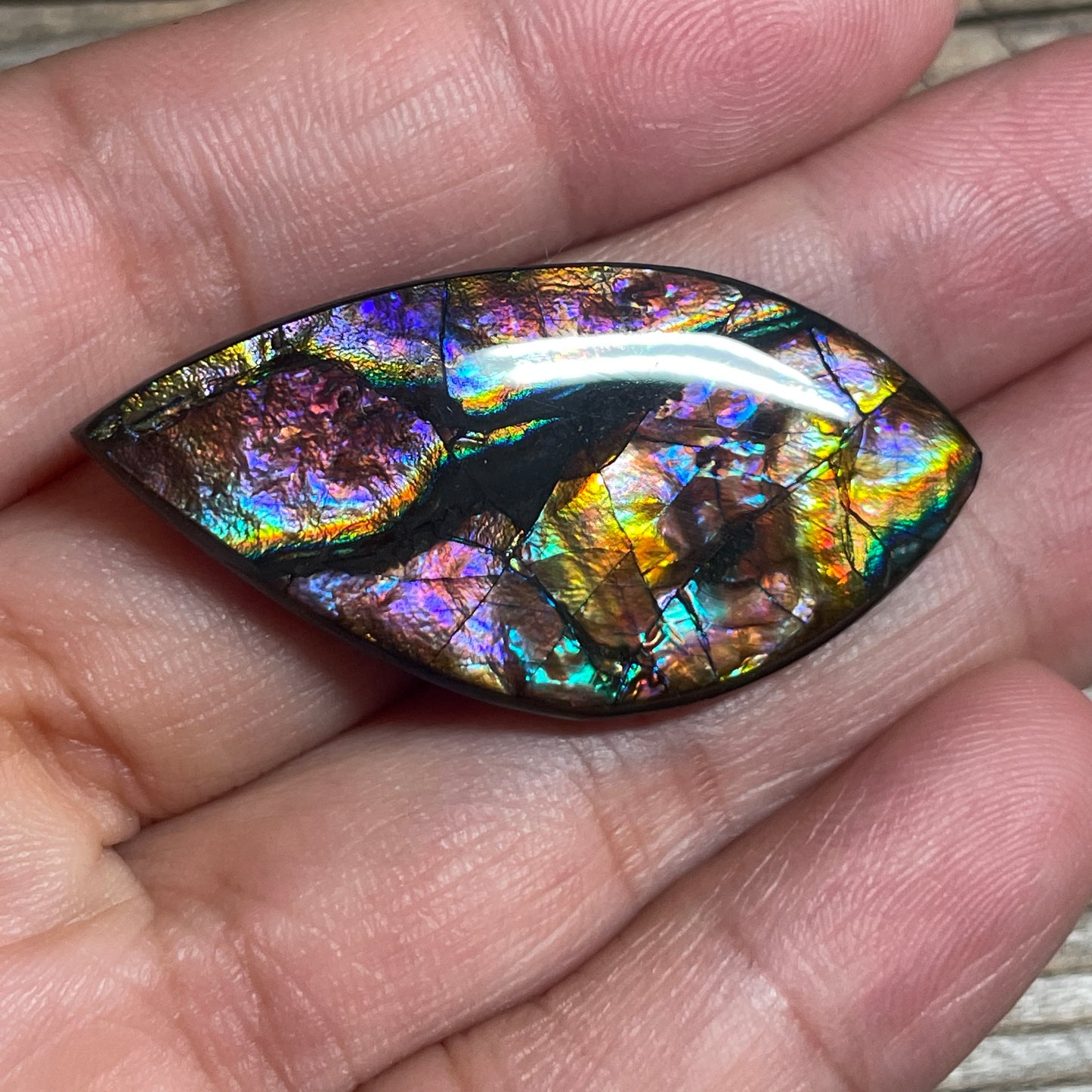 Collector's Special! Rare Pink Ammolite Freeform Cabochon, Genuine Alberta Ammonite Gemstone